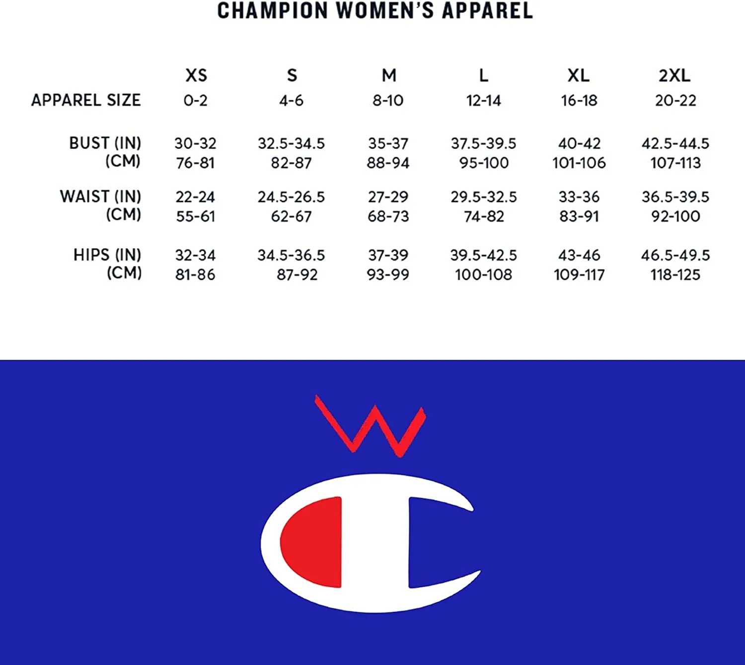 Champion womens Middleweight Jersey Hoodie, Script Logo Hooded Sweatshirt, White-y08113, X-Small US