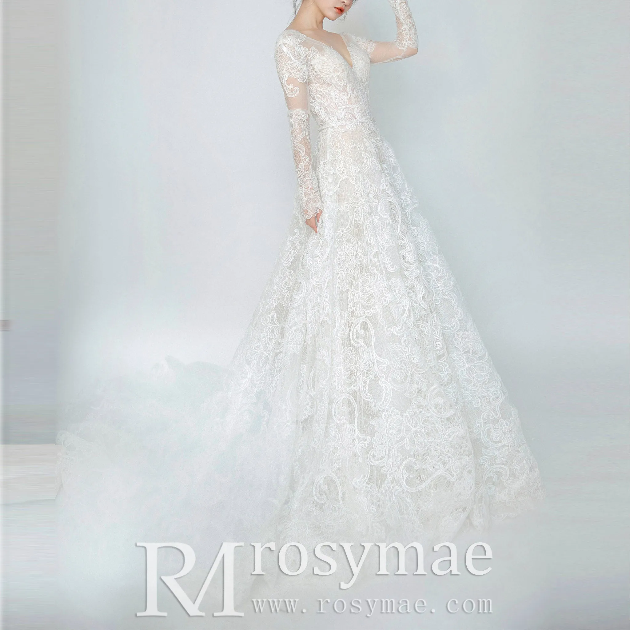 Chic Sheer Long Sleeve Floral Lace Wedding Dress with Open Back