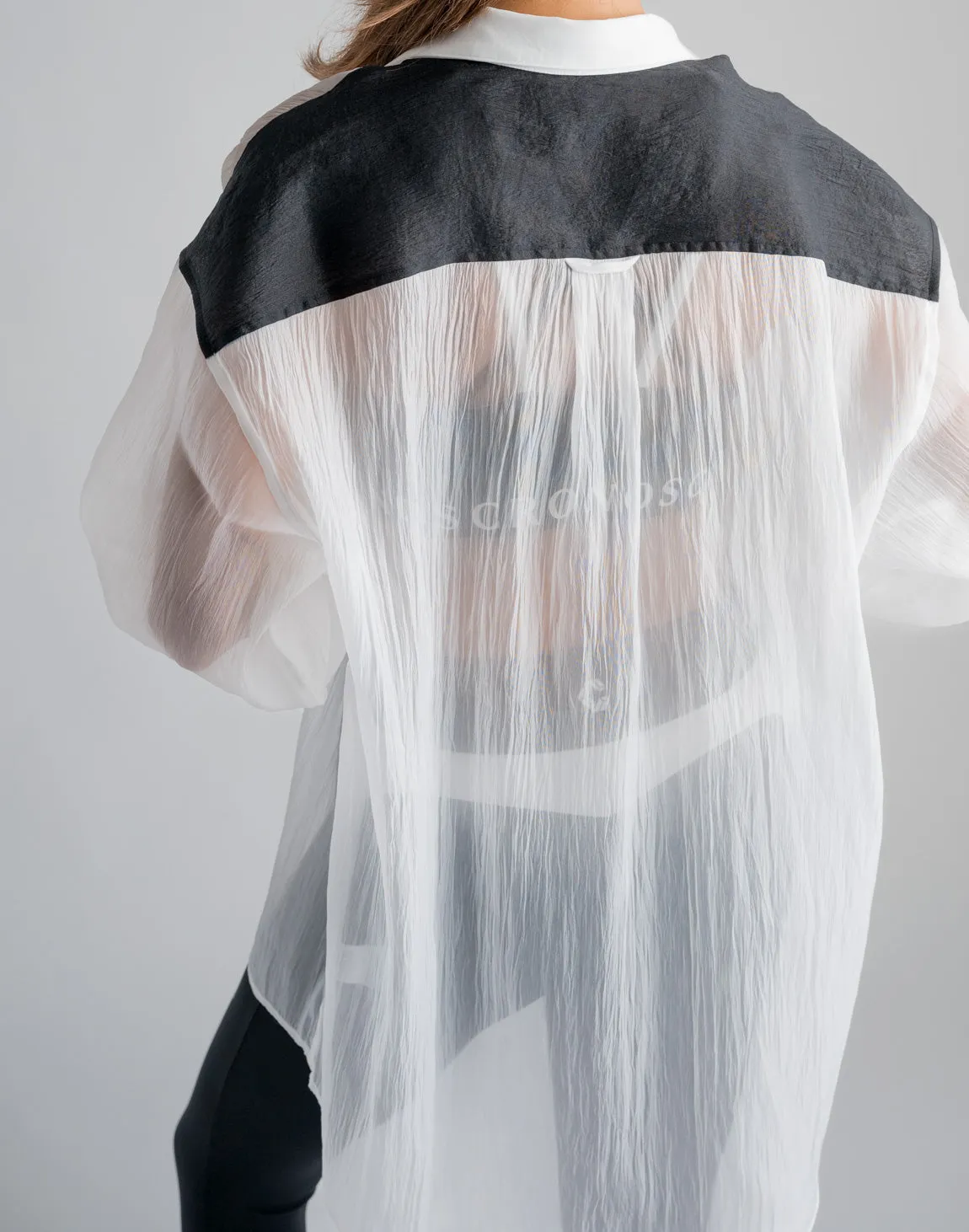 CRONOS WOMEN SHEER SHIRTS【BLACK】