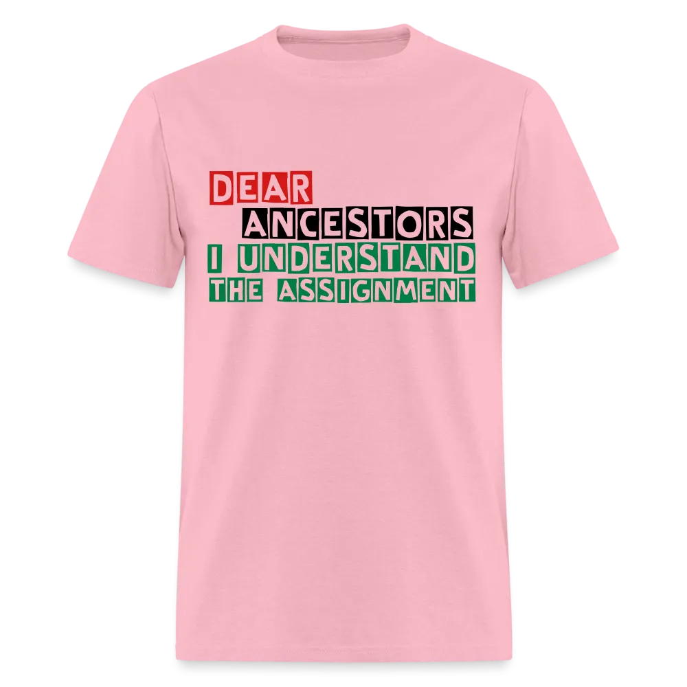 I Understand The Assignment Classic T-Shirt