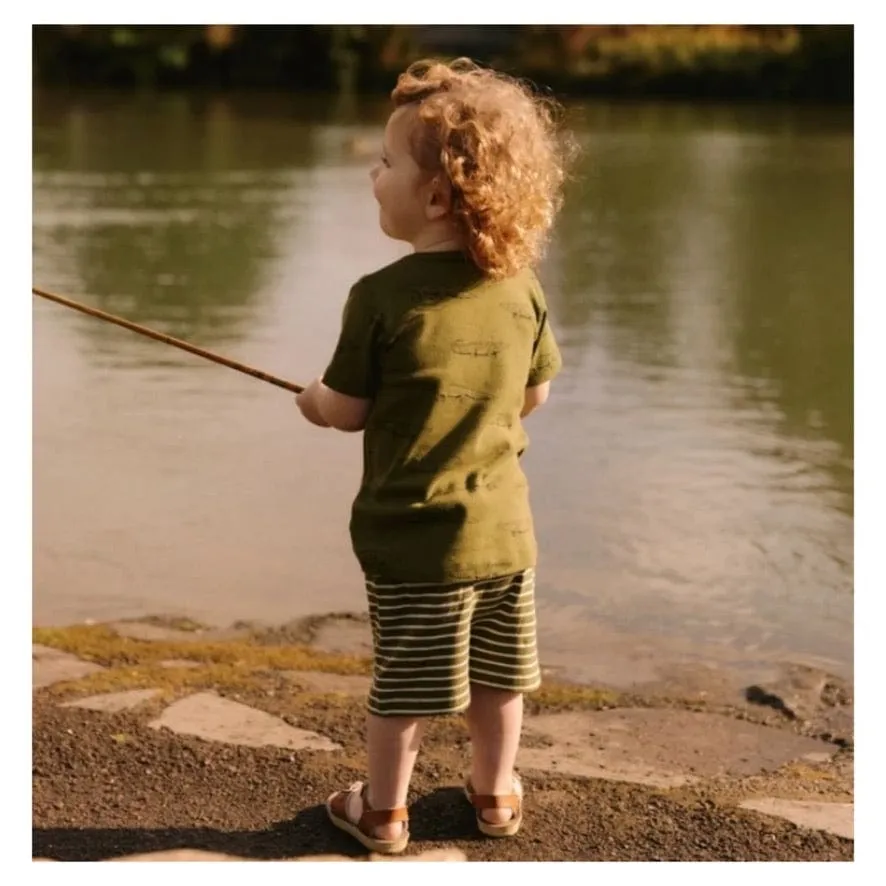 Jimmy Shorts - Jungle Sailor Stripe