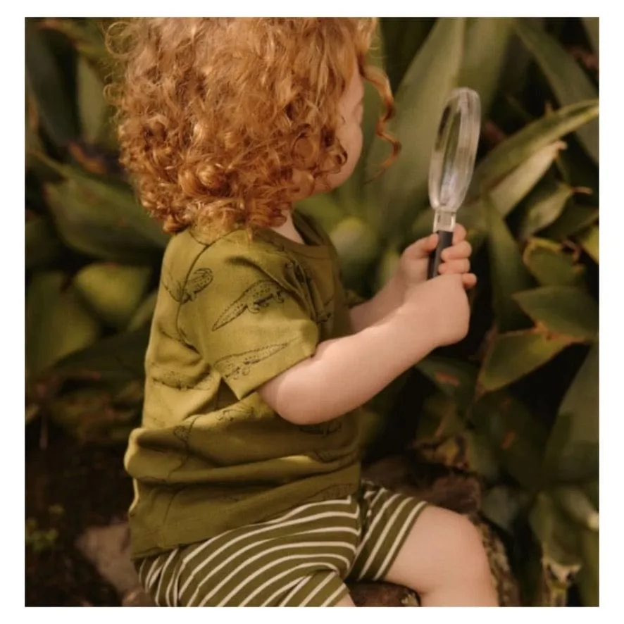 Jimmy Shorts - Jungle Sailor Stripe