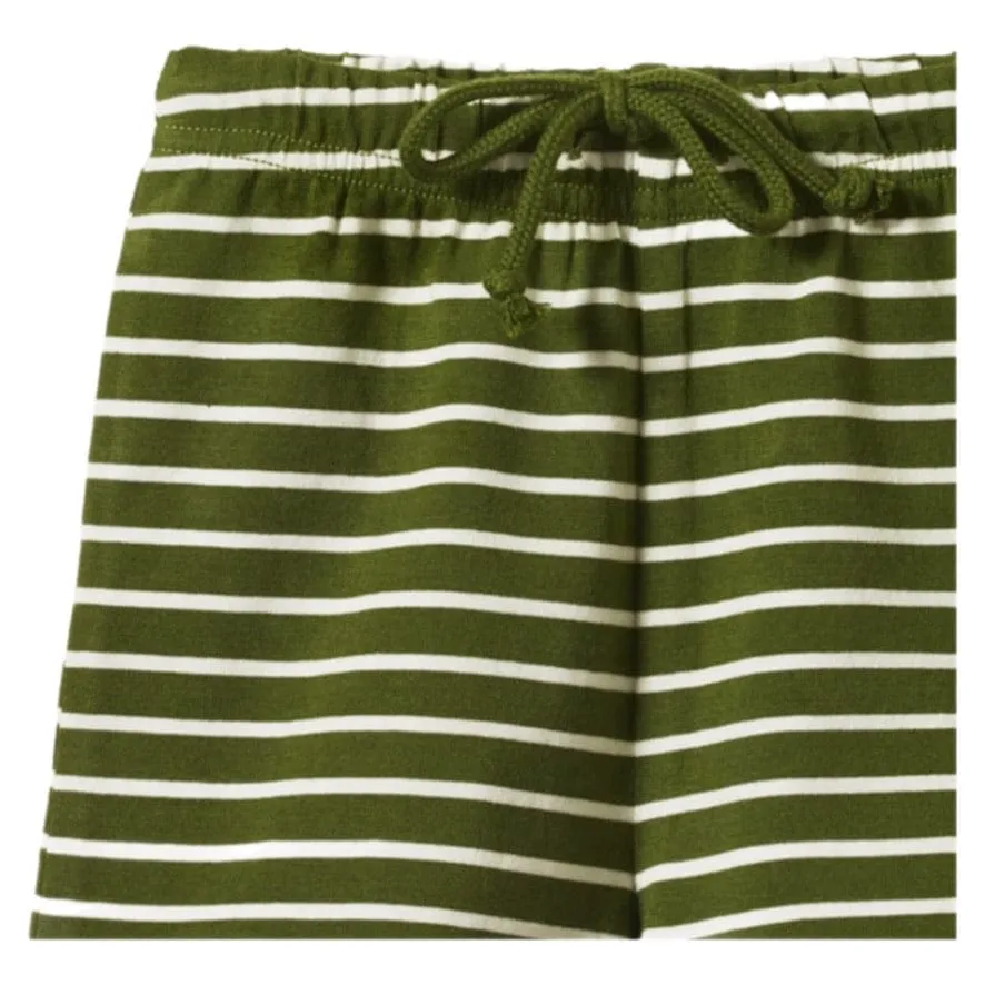Jimmy Shorts - Jungle Sailor Stripe