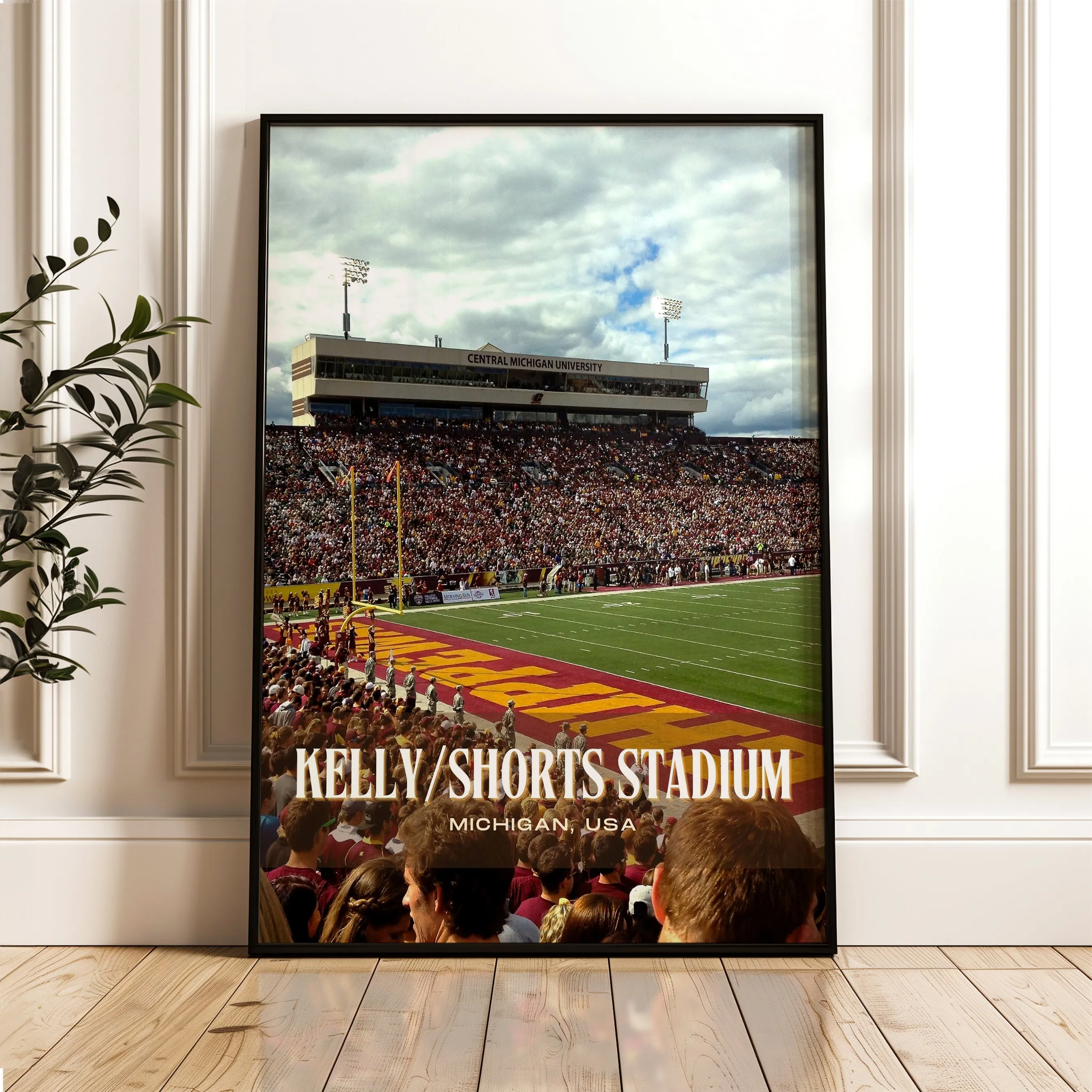 Kelly/Shorts Stadium Football  Wall Art