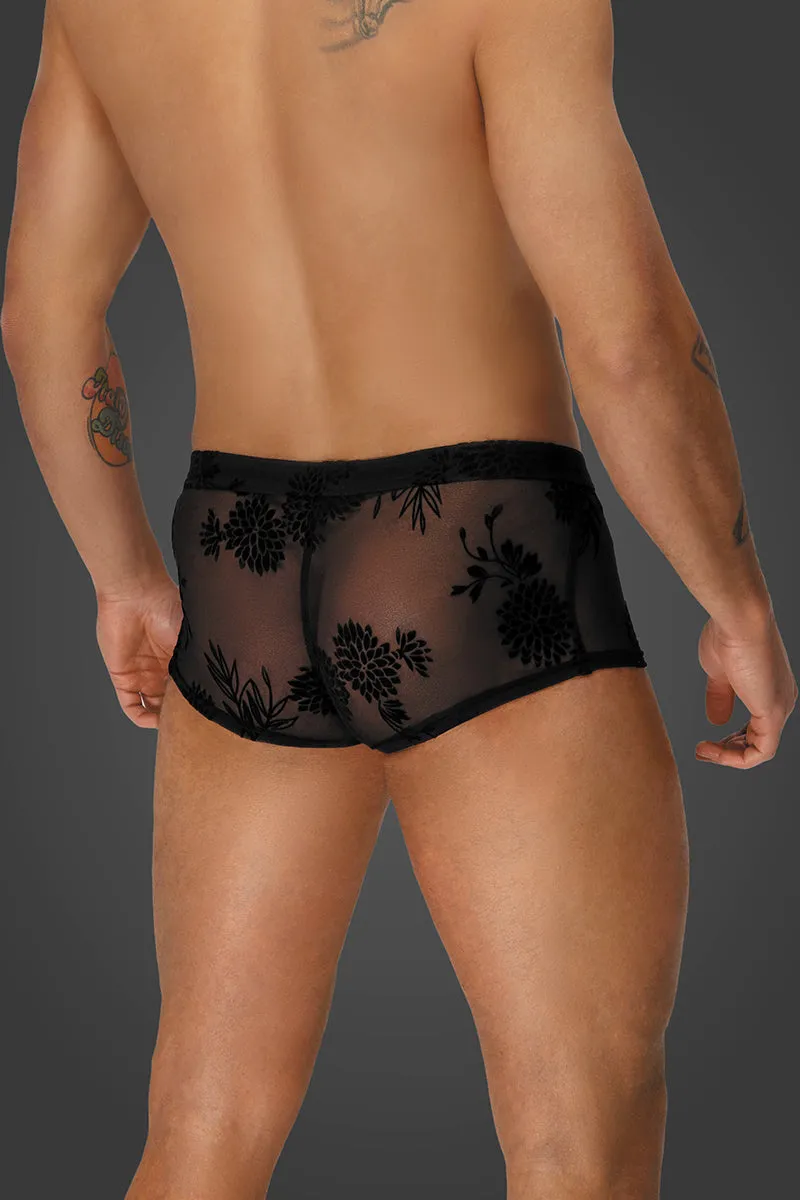 Noir Handmade Flock Embroidery Shorts