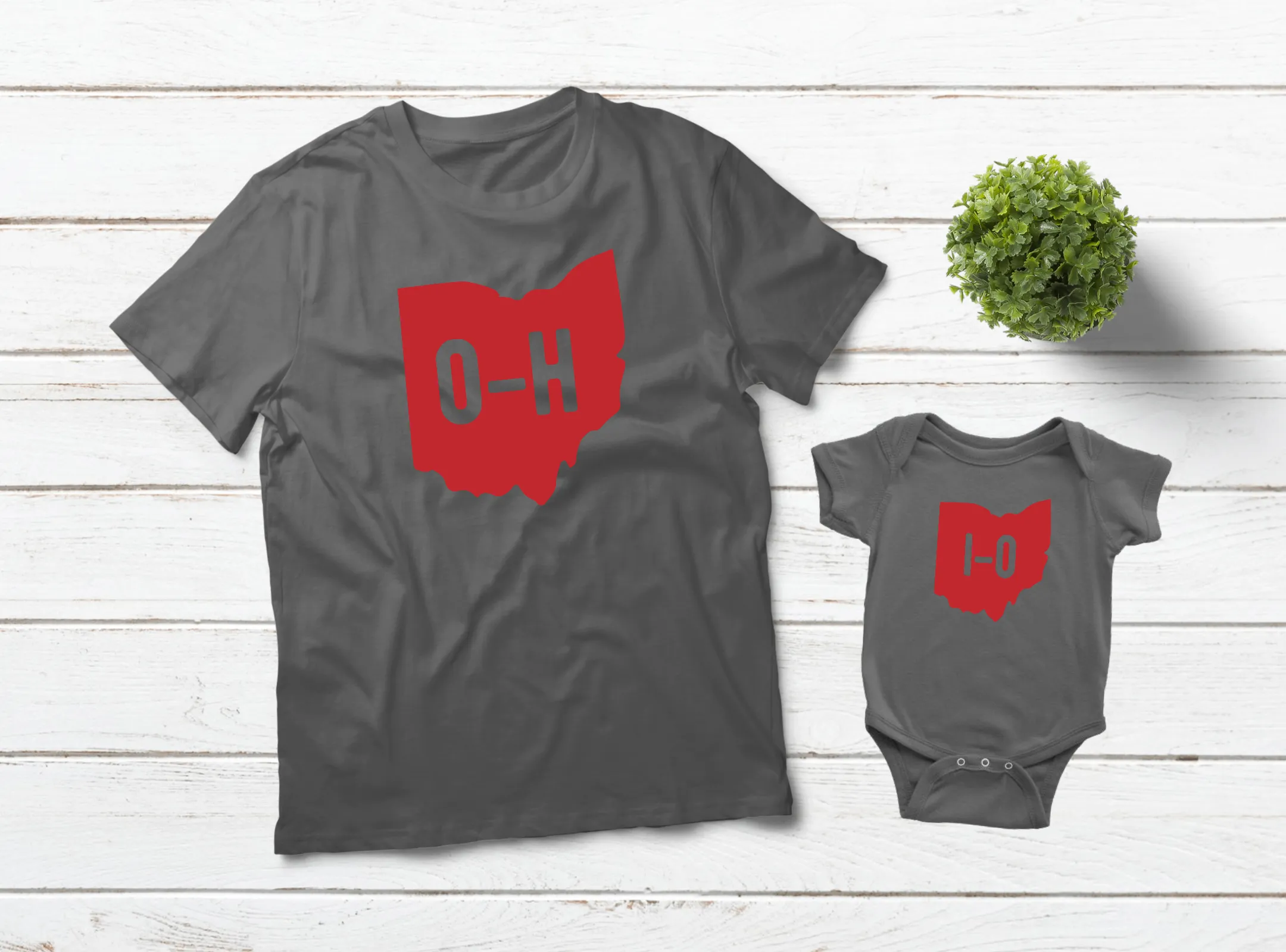Ohio Father Son Matching Shirts