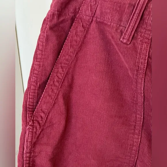Outerknown Corduroy Shorts, Organic Cotton, Raspberry Size 33