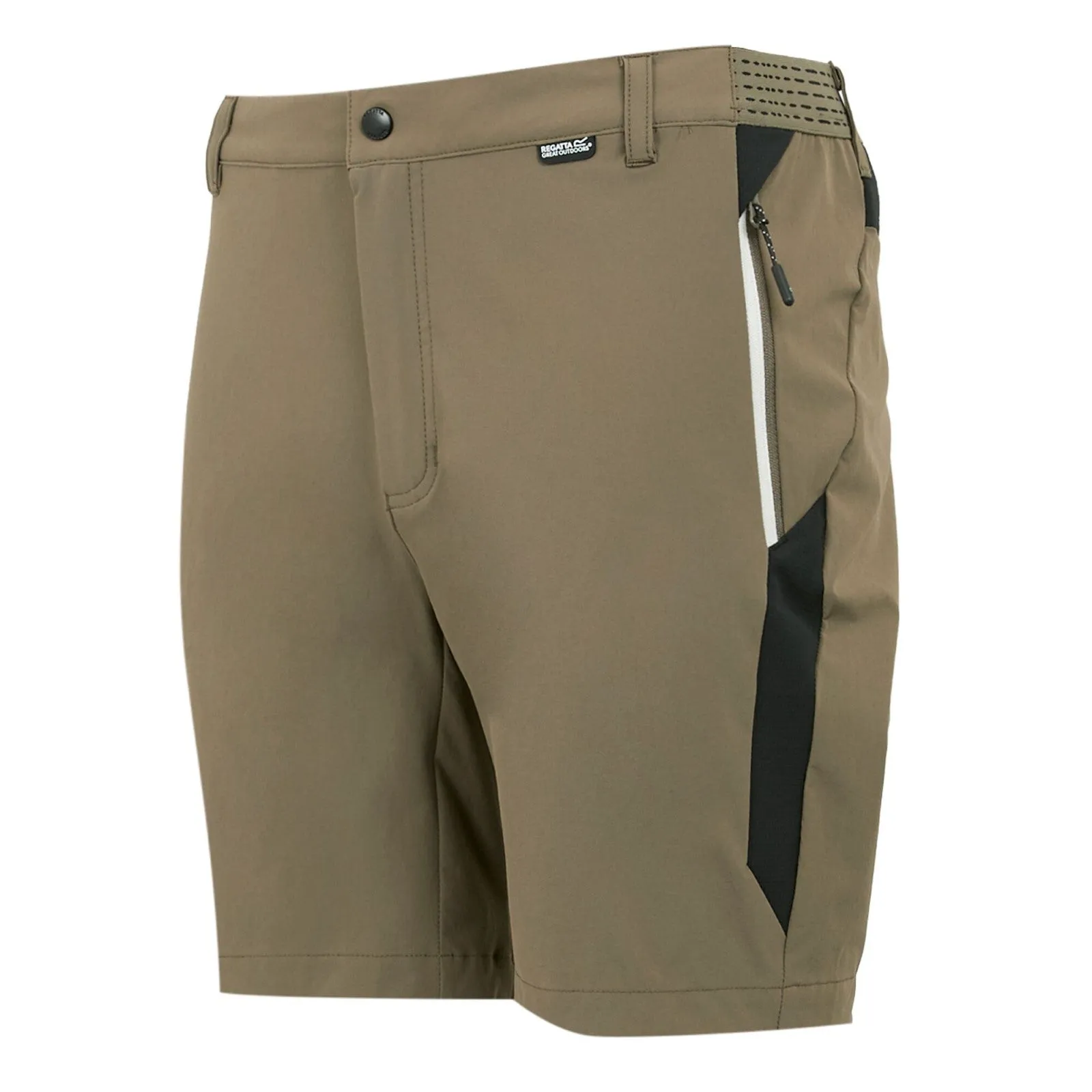 Regatta Mens Mountain II Walking Shorts