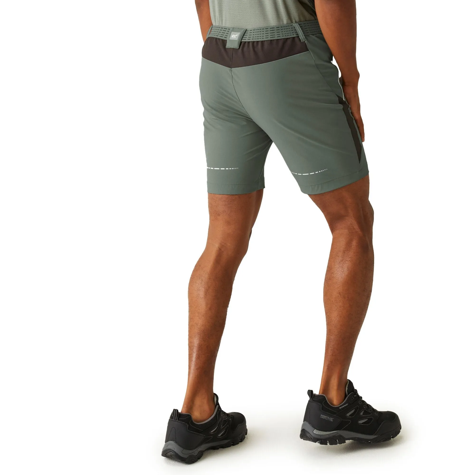 Regatta Mens Mountain II Walking Shorts