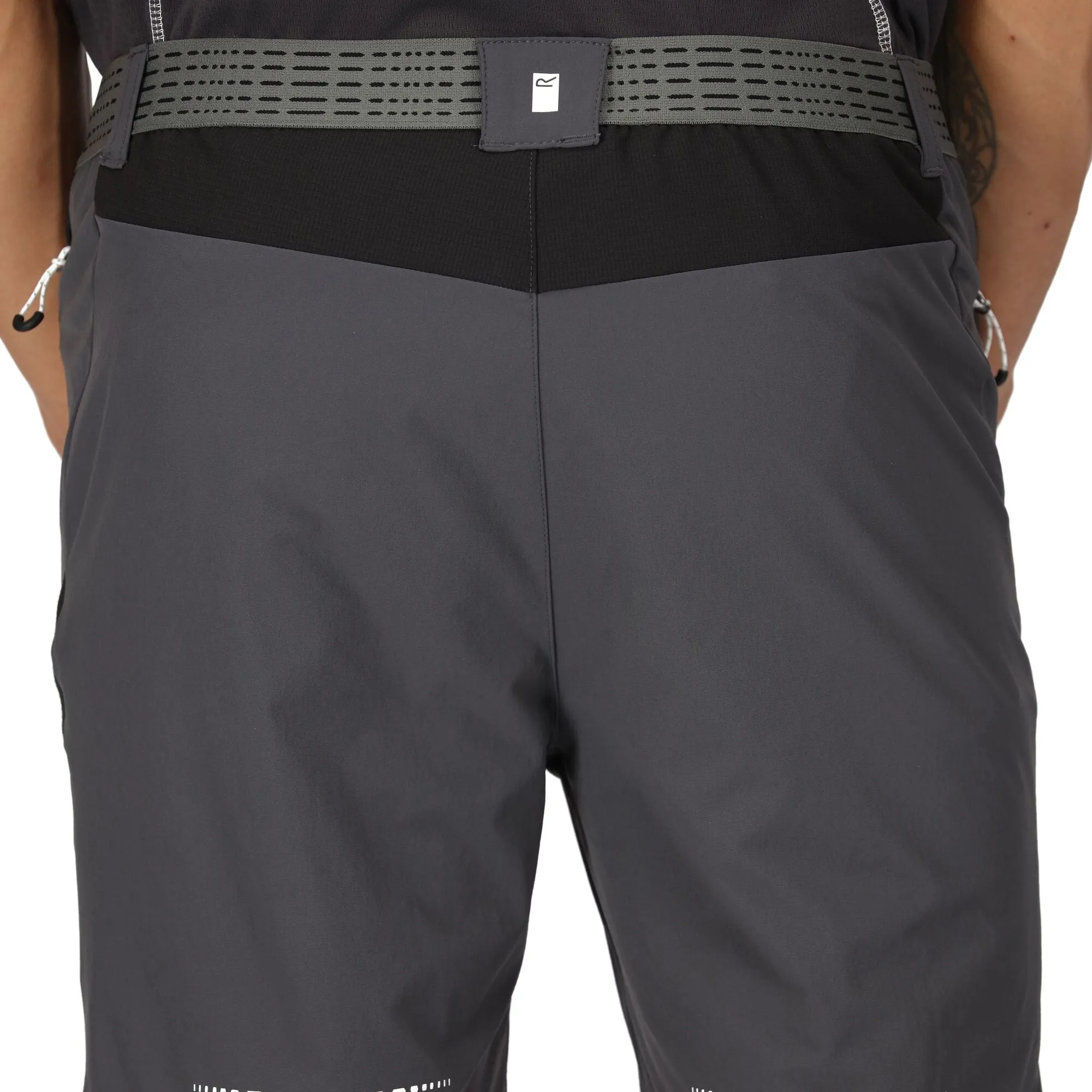 Regatta Mens Mountain II Walking Shorts
