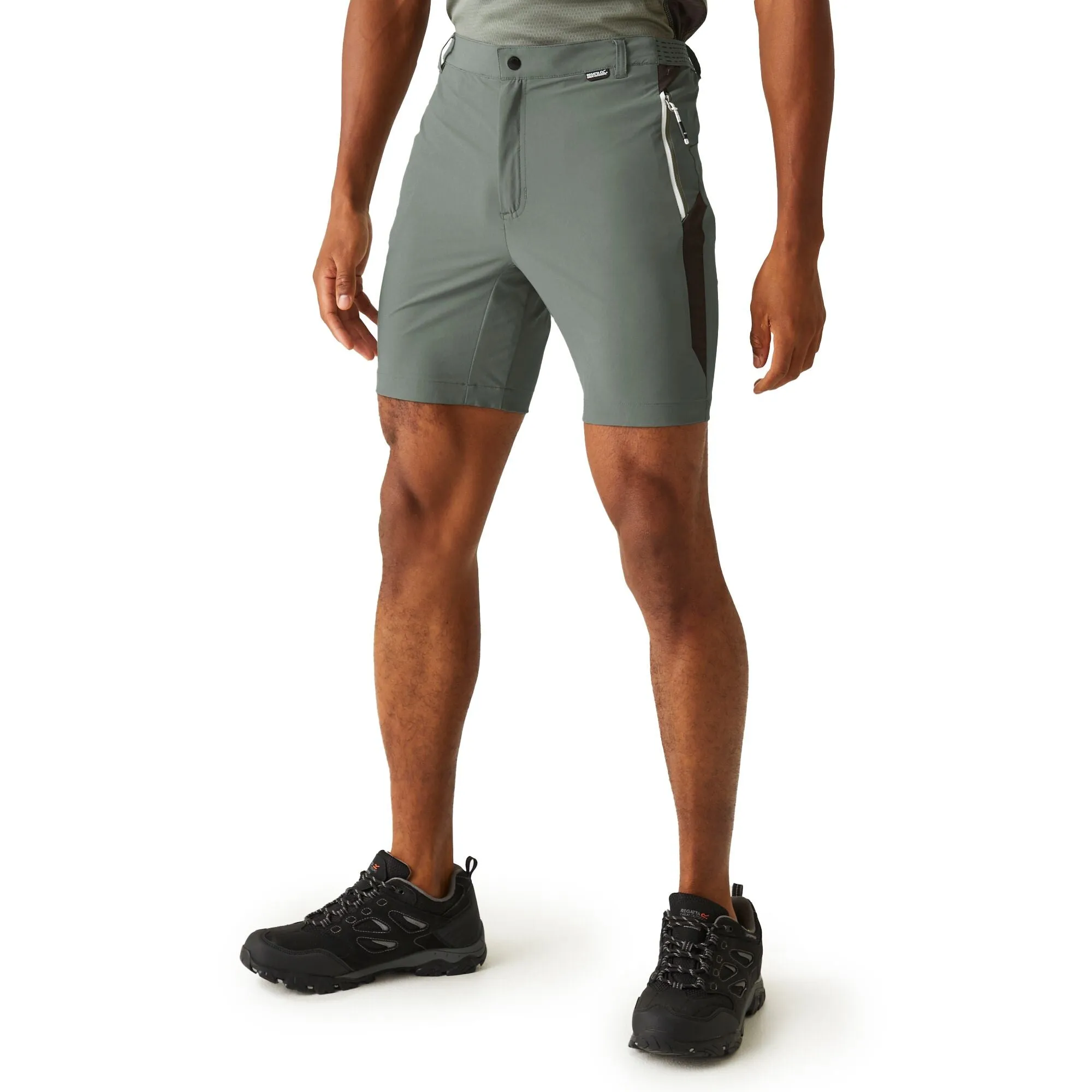 Regatta Mens Mountain II Walking Shorts