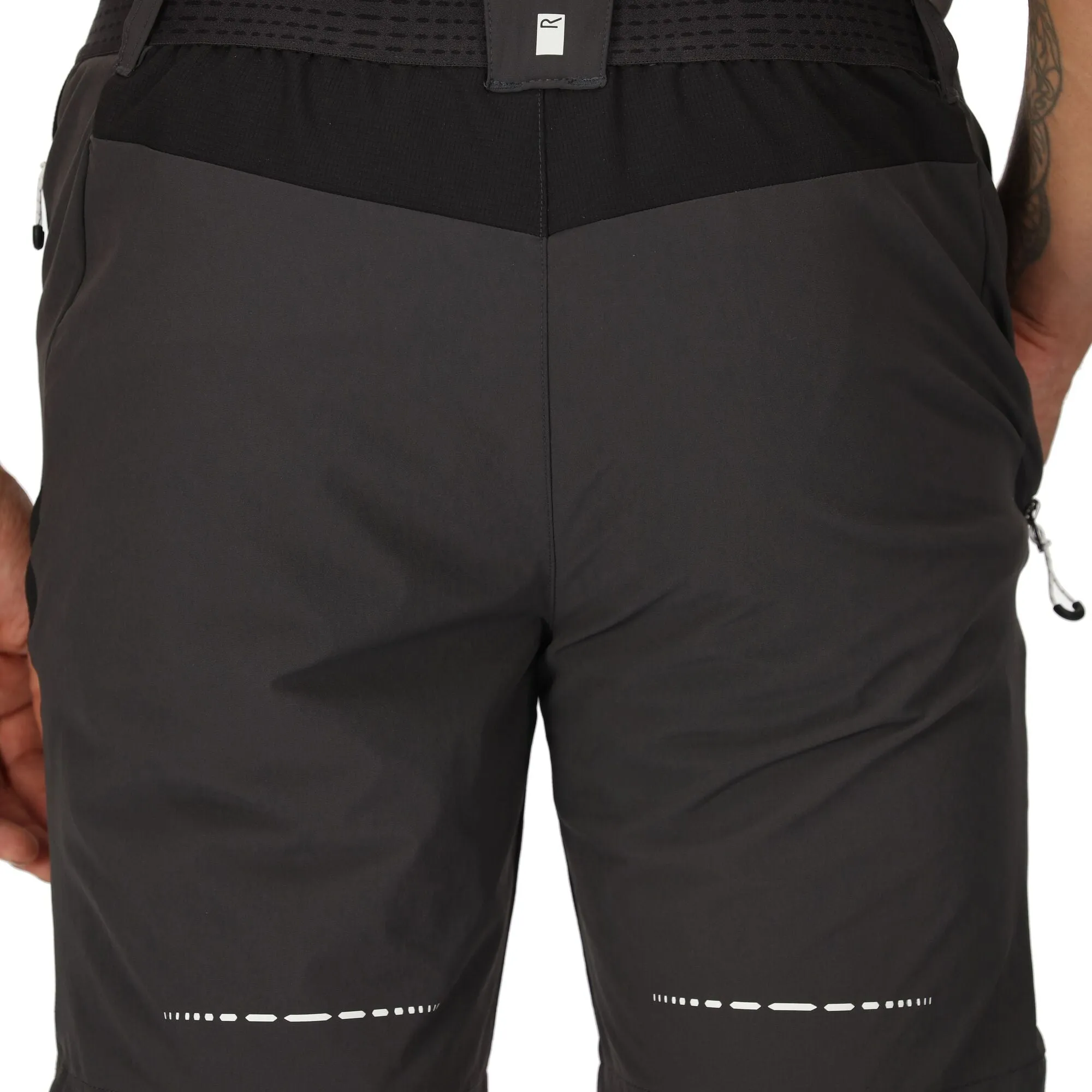 Regatta Mens Mountain II Walking Shorts