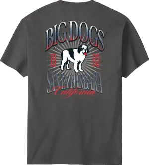Santa Barbara Logo T-shirt