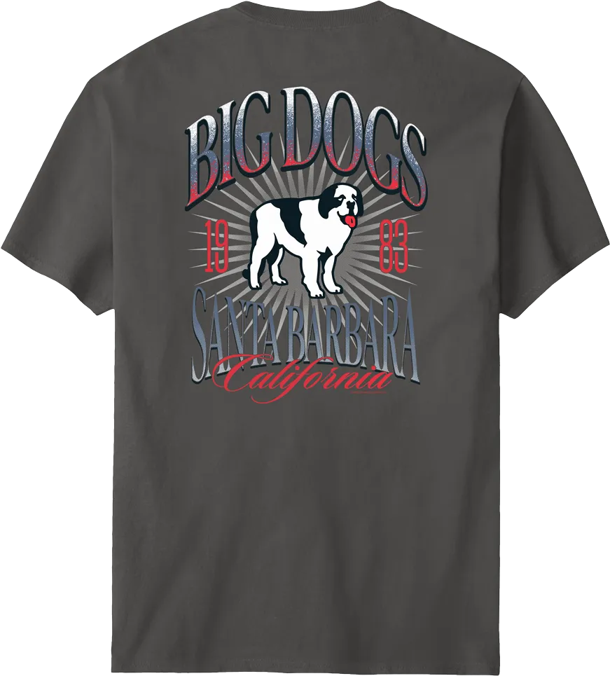Santa Barbara Logo T-shirt