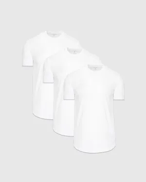 White Short Sleeve Curved Hem Crew 3-Pack